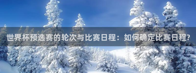 世界杯时间：世界杯预选赛的轮次与比赛日程：如何确定比赛日程?