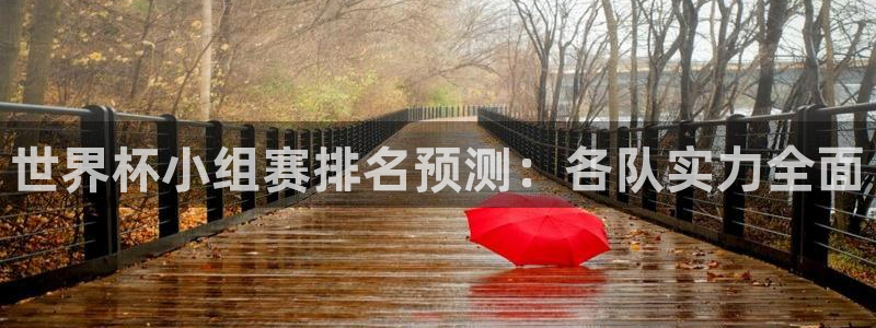 世界杯预选赛欧洲赛区积分榜：世界杯小组赛排名预测：各队实力全面