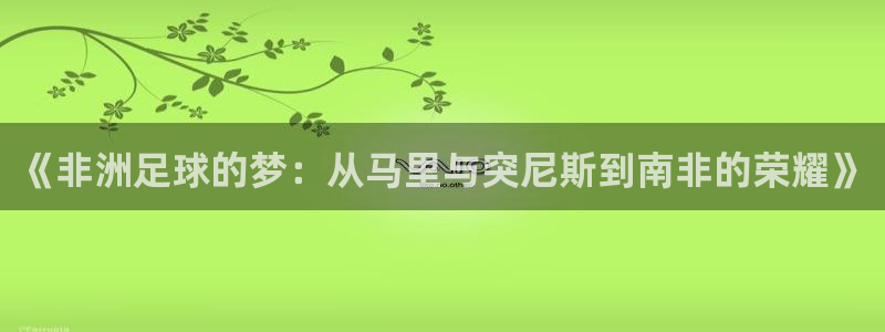 2026世界杯赛程：《非洲足球的梦：从马里与突尼斯到南非的荣耀》