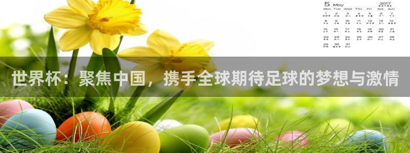 2026男足世界杯赛程：世界杯：聚焦中国，携手全球期待足球的梦想与激情