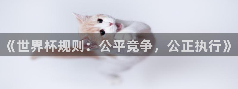 世界杯欧洲预选赛赛程：《世界杯规则：公平竞争，公正执行》