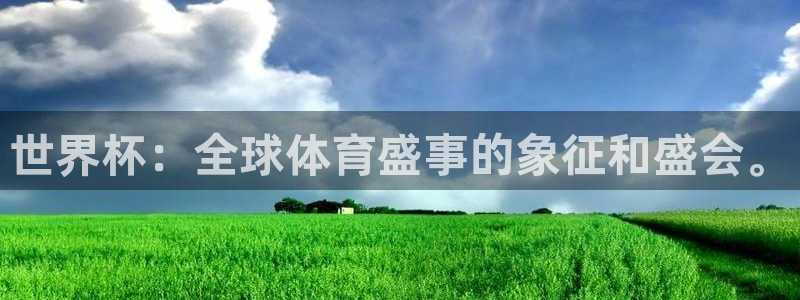 2026世界杯赛程时间表最新：世界杯：全球体育盛事的象征和盛会。