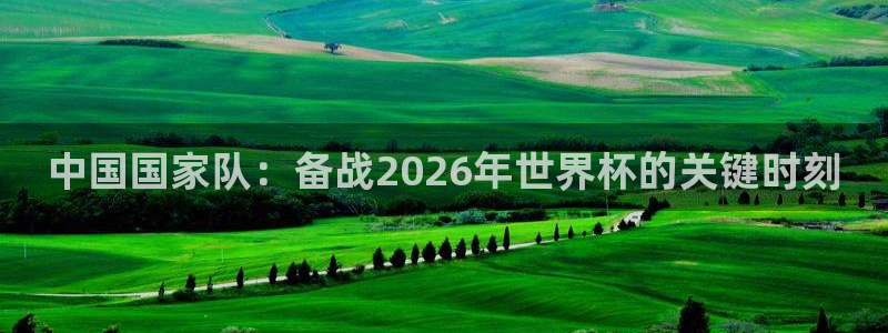 2026男足世界杯：中国国家队：备战2026年世界杯的关键时刻