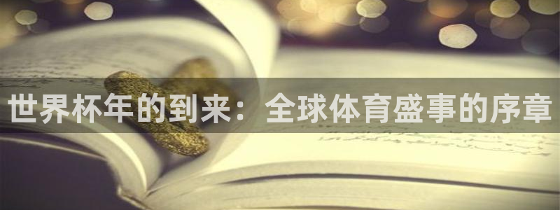 中国 世界杯：世界杯年的到来：全球体育盛事的序章