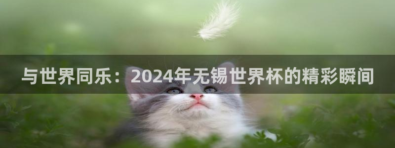 看世界杯：与世界同乐：2024年无锡世界杯的精彩瞬间