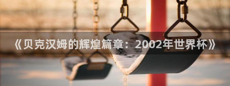 欧洲世界杯预选赛赛程：《贝克汉姆的辉煌篇章：2002年世界杯》